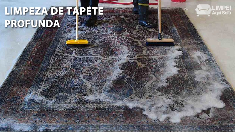 Limpando Tapete